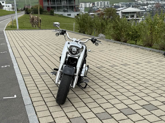 Harley Davidson Softail FLFB Fat Boy 117