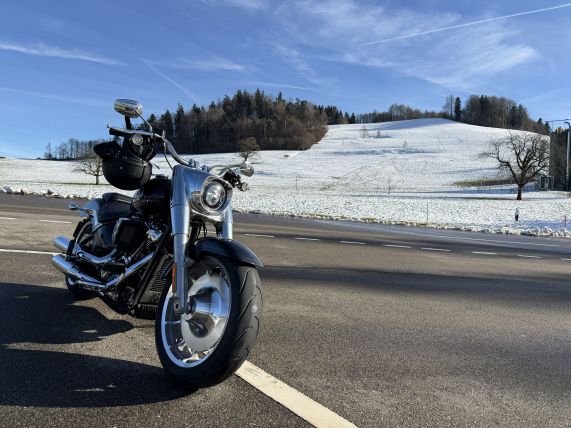 Harley Davidson Softail FLFB Fat Boy 117