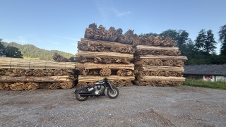 Benda Napoleon Bob 500